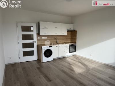 Pronájem bytu 2+KK Ústí nad Labem, Brandtova č. 8