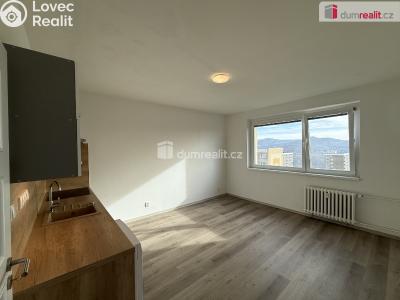 Pronájem bytu 2+KK Ústí nad Labem, Brandtova č. 14