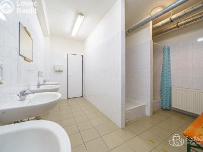 Prodej výrobní haly Krásno, Kladenská č. 20