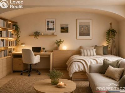 Продаж торгового приміщення Praha, Arbesovo náměstí č. 13