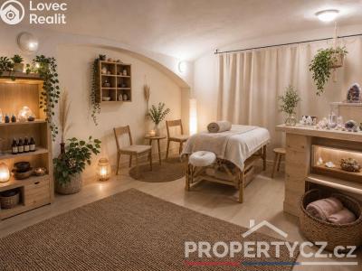 Продаж торгового приміщення Praha, Arbesovo náměstí č. 30
