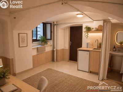 Продаж торгового приміщення Praha, Arbesovo náměstí č. 33