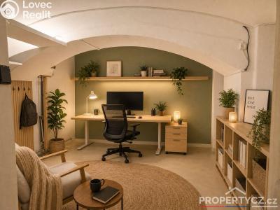 Продаж торгового приміщення Praha, Arbesovo náměstí č. 35