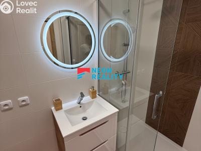 Rent apartment 3+KK Karviná, Kirovova č. 11