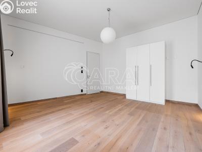 Pronájem bytu 3+KK Praha, Truhlářská č. 20