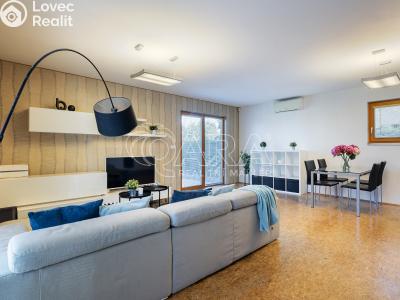 Продажа семейного дома Vyžlovka, V Březinkách 343 č. 2