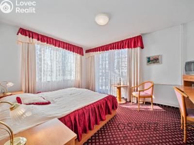 Prodej ubytovacího zařízení Praha, Davídkova č. 12