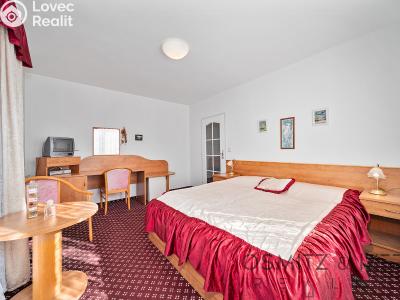 Prodej ubytovacího zařízení Praha, Davídkova č. 13