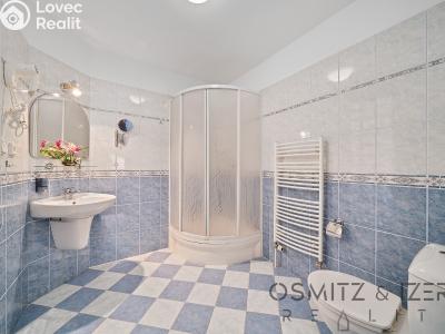 Prodej ubytovacího zařízení Praha, Davídkova č. 27