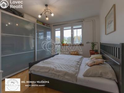 Prodej bytu 3+1 Frýdlant nad Ostravicí č. 27