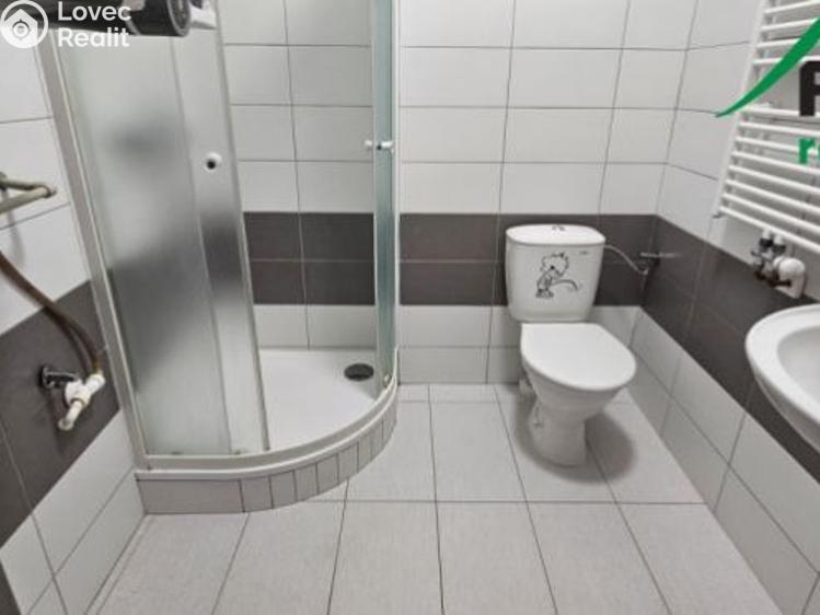 Pronájem bytu 1+KK Tachov, Rokycanova č. 4