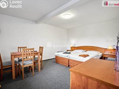 Sale hotel Nejdek, Karlovarská č. 8