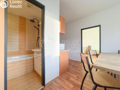 Pronájem bytu 3+1 České Budějovice, J. Opletala č. 8