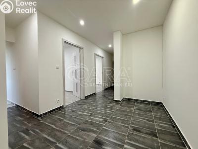 Оренда квартири 3+1 Nový Jičín, Riegrova č. 7