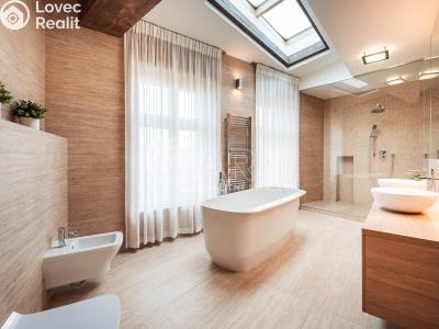 Pronájem bytu 5+KK Praha, Truhlářská č. 15