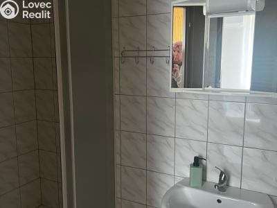 Prodej chaty Dolní Lomná č. 10