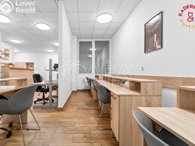 Продажа торгового помещеня Brno, Lidická č. 2