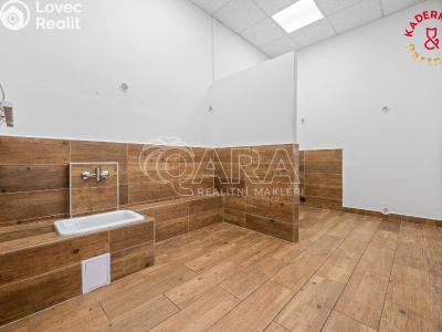 Продажа торгового помещеня Brno, Lidická č. 14