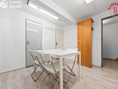 Продажа торгового помещеня Brno, Lidická č. 20