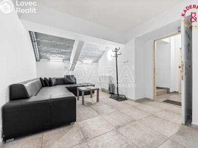 Продажа торгового помещеня Brno, Lidická č. 30