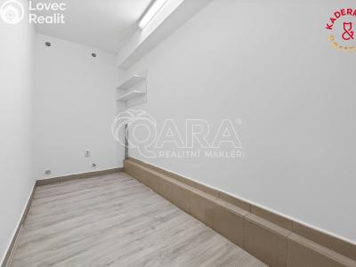 Продажа торгового помещеня Brno, Lidická č. 33