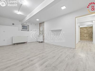 Продажа торгового помещеня Brno, Lidická č. 34