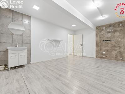 Продажа торгового помещеня Brno, Lidická č. 35