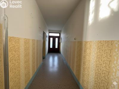Продаж багатогенного будинку Vincencov č. 14