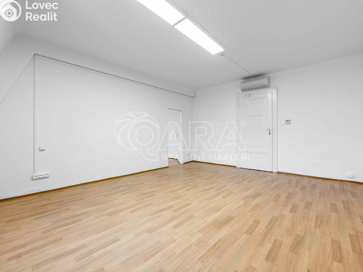 Pronájem kanceláře Praha, Vodičkova č. 4