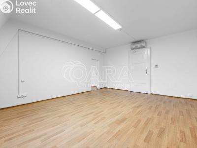 Pronájem kanceláře Praha, Vodičkova č. 4