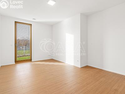 Продажа семейного дома Radějovice, Svatojanská 60 č. 17
