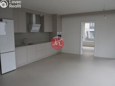 Pronájem bytu 2+KK Ostrava, F. X. Riepla č. 1