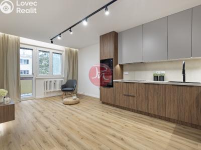 Prodej bytu 3+KK Ostrava, Kischova č. 1