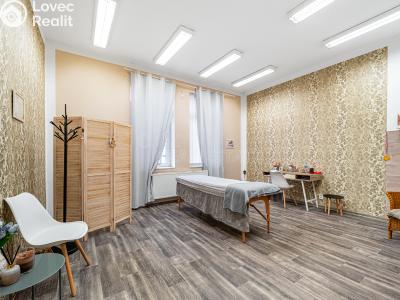 Prodej komerční nemovitosti Teplice, Pražská č. 10