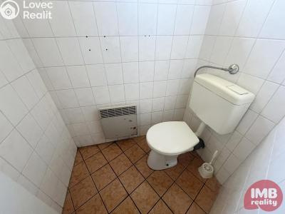 Prodej restaurace Nová Role, Tovární č. 15