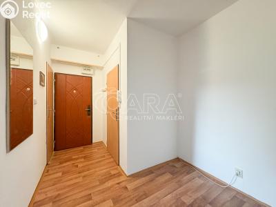 Pronájem bytu 3+1 České Budějovice, J. Opletala č. 15