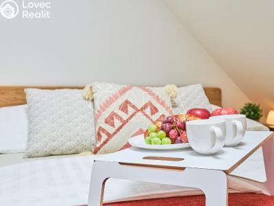 Sale apartment 2+KK Borová Lada č. 15