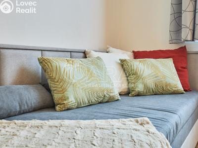 Sale apartment 2+KK Borová Lada č. 17