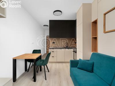 Pronájem bytu 1+KK Brno, Dornych č. 3