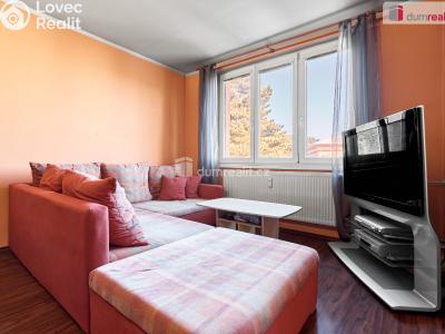 Продаж квартири 3+KK Nová Role, Pod Nádražím č. 13