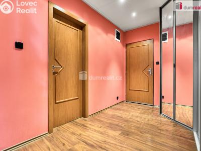 Продаж квартири 3+KK Nová Role, Pod Nádražím č. 23