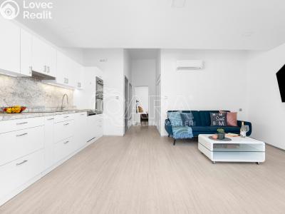 Продаж багатогенного будинку Brno, Chaloupky č. 8