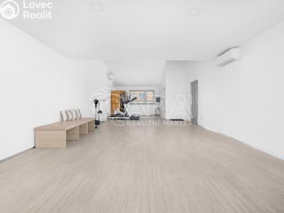 Продаж багатогенного будинку Brno, Chaloupky č. 12