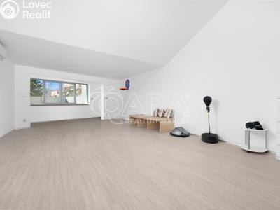 Продаж багатогенного будинку Brno, Chaloupky č. 13