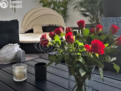 Продаж багатогенного будинку Brno, Chaloupky č. 17