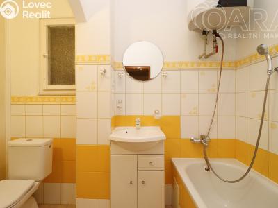 Rent apartment 1+1 Praha, Davídkova č. 9