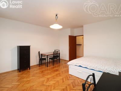 Rent apartment 1+1 Praha, Davídkova č. 13