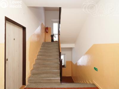 Rent apartment 1+1 Praha, Davídkova č. 14