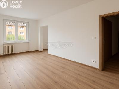 Pronájem bytu 1+1 Habartov, Mírová č. 9