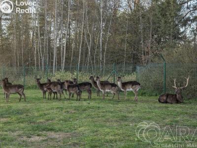 Продажа семейного дома Stará Huť, Krásný život č. 27